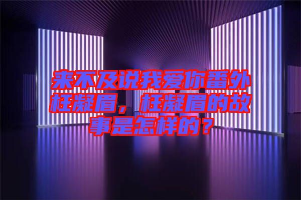 來不及說我愛你番外枉凝眉，枉凝眉的故事是怎樣的？