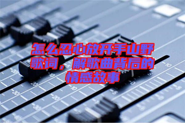 怎么忍心放開手山野歌詞，解歌曲背后的情感故事