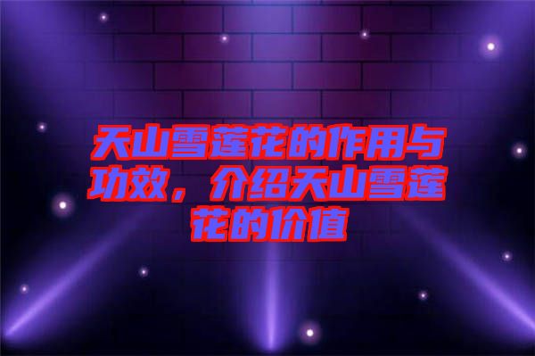 天山雪蓮花的作用與功效，介紹天山雪蓮花的價(jià)值