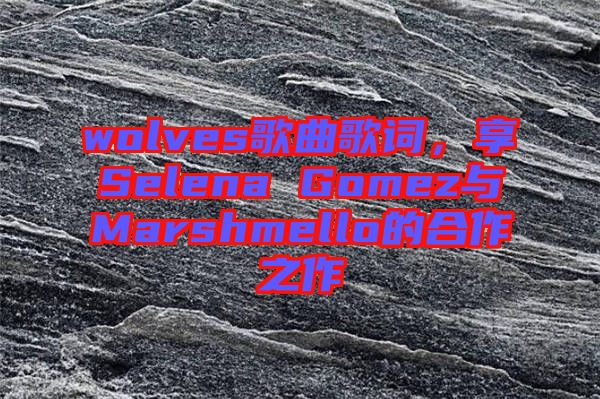 wolves歌曲歌詞，享Selena Gomez與Marshmello的合作之作