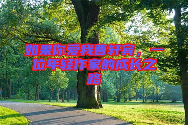 如果你愛我曹軒賓，一位年輕作家的成長之路