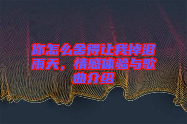 你怎么舍得讓我掉淚雨天，情感體驗(yàn)與歌曲介紹