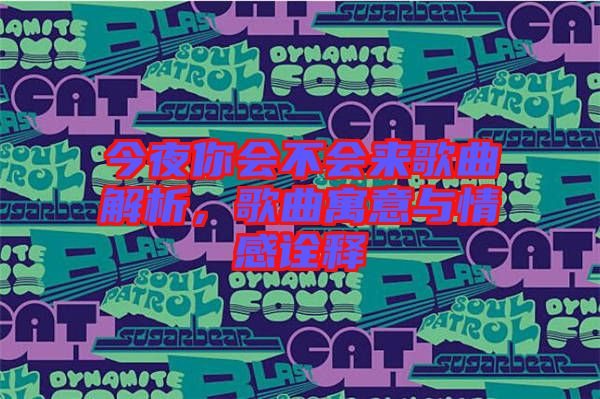 今夜你會不會來歌曲解析，歌曲寓意與情感詮釋