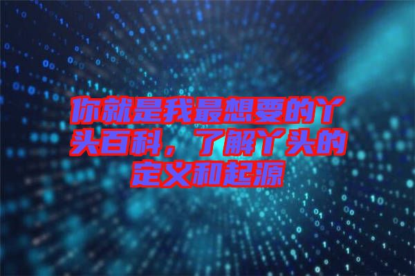 你就是我最想要的丫頭百科，了解丫頭的定義和起源