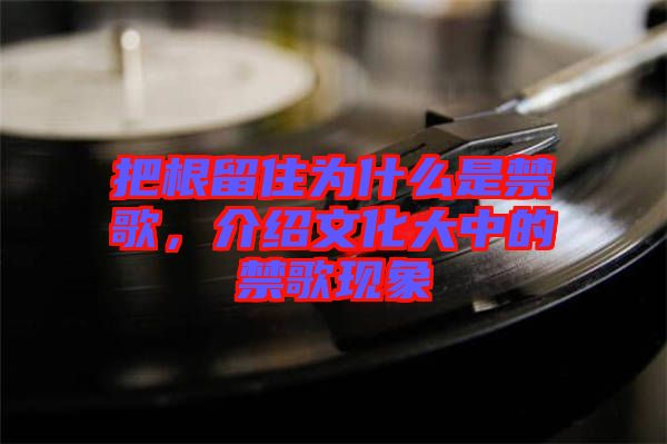 把根留住為什么是禁歌，介紹文化大中的禁歌現(xiàn)象