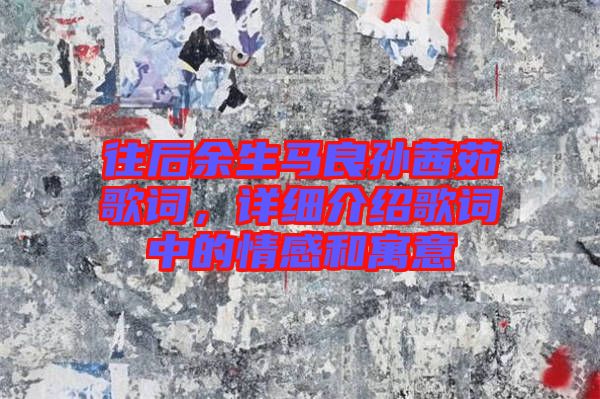 往后余生馬良孫茜茹歌詞，詳細(xì)介紹歌詞中的情感和寓意