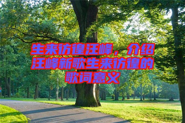 生來彷徨汪峰，介紹汪峰新歌生來彷徨的歌詞意義