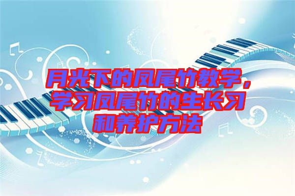 月光下的鳳尾竹教學(xué)，學(xué)習(xí)鳳尾竹的生長習(xí)和養(yǎng)護(hù)方法