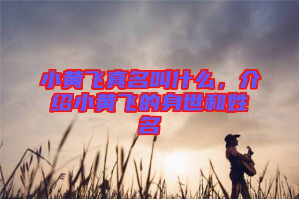 小黃飛真名叫什么，介紹小黃飛的身世和姓名
