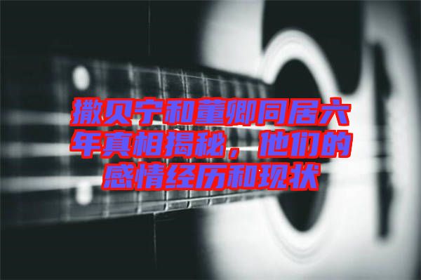 撒貝寧和董卿同居六年真相揭秘，他們的感情經歷和現狀