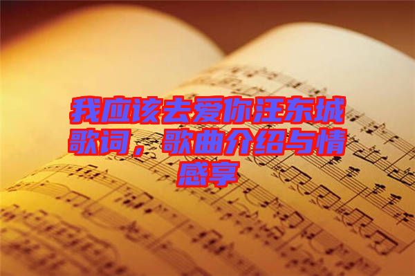 我應(yīng)該去愛你汪東城歌詞，歌曲介紹與情感享