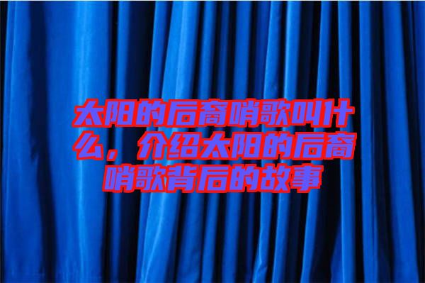 太陽的后裔哨歌叫什么，介紹太陽的后裔哨歌背后的故事