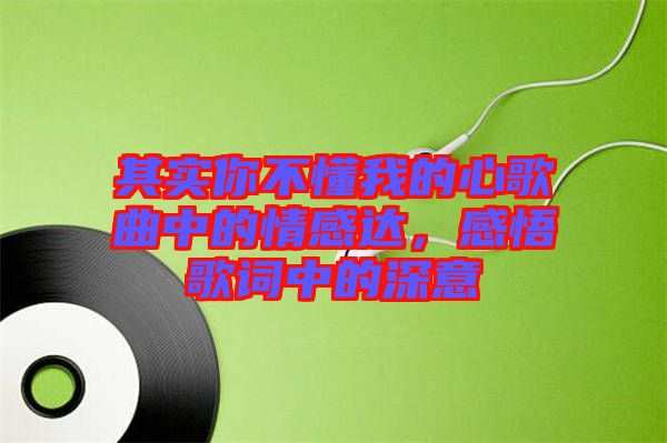 其實你不懂我的心歌曲中的情感達(dá)，感悟歌詞中的深意