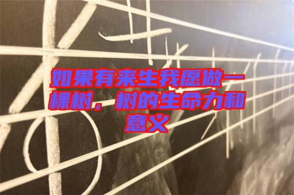 如果有來(lái)生我愿做一棵樹(shù)，樹(shù)的生命力和意義