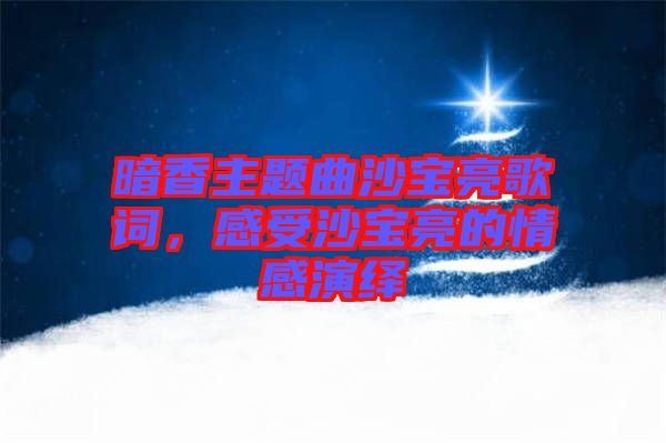 暗香主題曲沙寶亮歌詞，感受沙寶亮的情感演繹