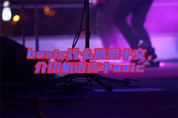 basic什么意思中文，介紹機語言中asic