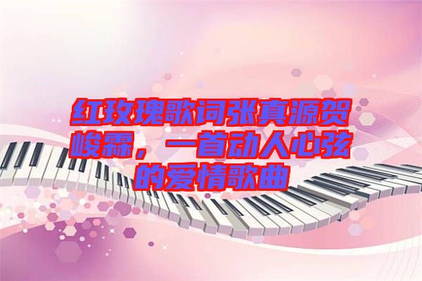 紅玫瑰歌詞張真源賀峻霖，一首動(dòng)人心弦的愛情歌曲