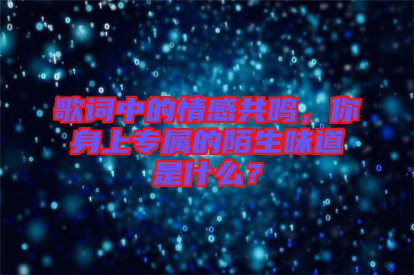 歌詞中的情感共鳴，你身上專屬的陌生味道是什么？