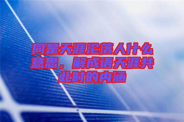 同是天涯淪落人什么意思，解成語(yǔ)天涯共此時(shí)的內(nèi)涵