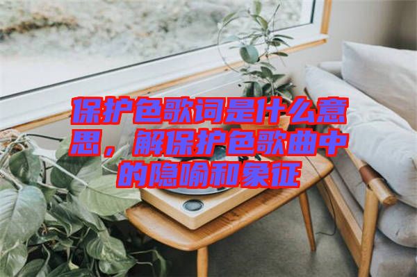 保護(hù)色歌詞是什么意思，解保護(hù)色歌曲中的隱喻和象征