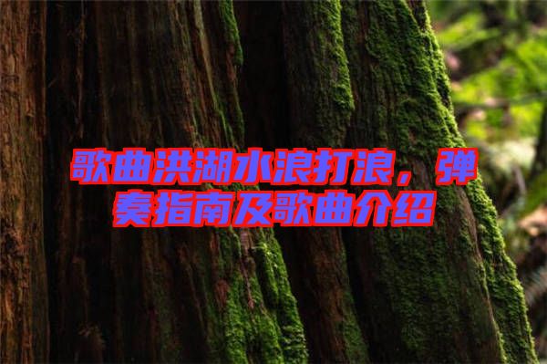 歌曲洪湖水浪打浪，彈奏指南及歌曲介紹