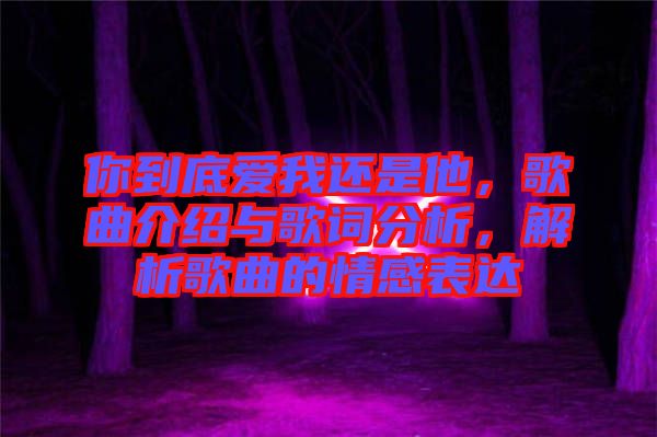 你到底愛我還是他，歌曲介紹與歌詞分析，解析歌曲的情感表達(dá)