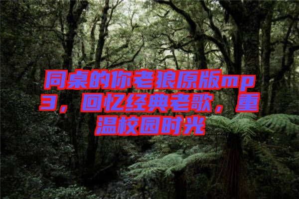 同桌的你老狼原版mp3，回憶經(jīng)典老歌，重溫校園時(shí)光