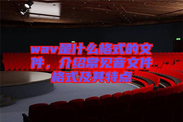 wav是什么格式的文件，介紹常見音文件格式及其特點(diǎn)