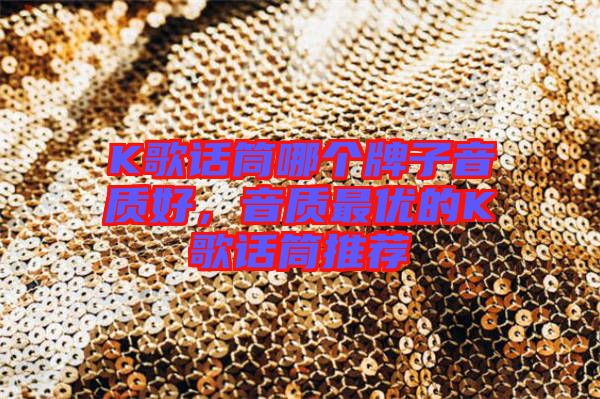 K歌話筒哪個(gè)牌子音質(zhì)好，音質(zhì)最優(yōu)的K歌話筒推薦