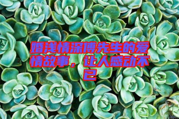 婚淺情深傅先生的愛情故事，讓人感動不已