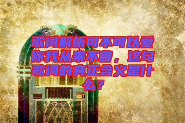 歌詞解析可不可以愛你我從來不曾，這句歌詞的真正含義是什么？