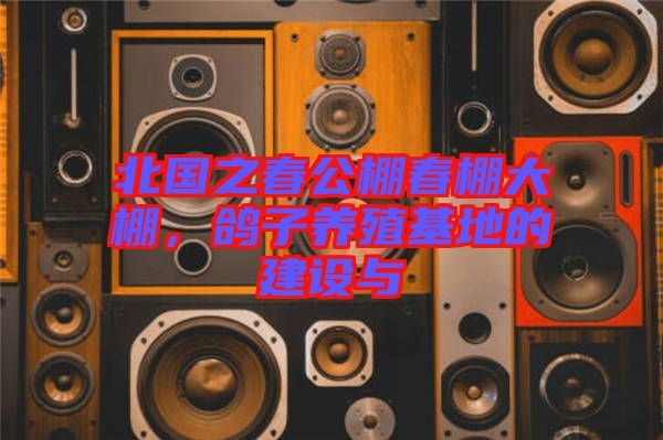 北國之春公棚春棚大棚，鴿子養(yǎng)殖基地的建設與