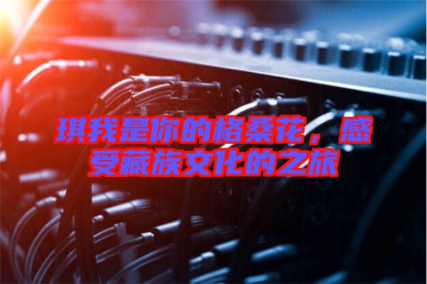 琪我是你的格桑花，感受藏族文化的之旅