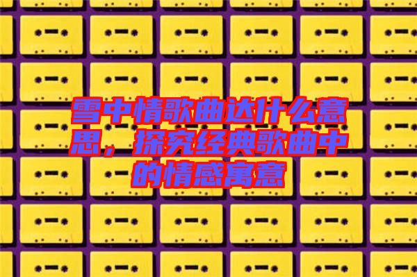 雪中情歌曲達(dá)什么意思，探究經(jīng)典歌曲中的情感寓意