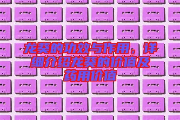 龍葵的功效與作用，詳細(xì)介紹龍葵的價(jià)值及藥用價(jià)值