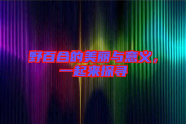 野百合的美麗與意義，一起來探尋