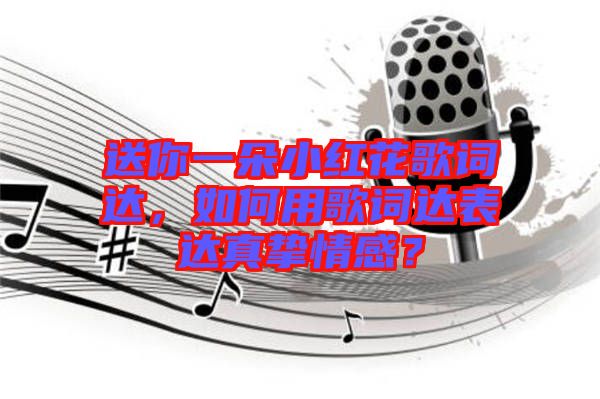 送你一朵小紅花歌詞達(dá)，如何用歌詞達(dá)表達(dá)真摯情感？