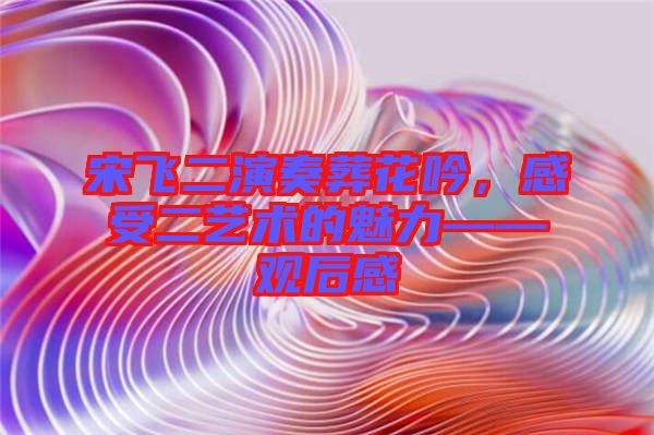 宋飛二演奏葬花吟，感受二藝術(shù)的魅力——觀后感