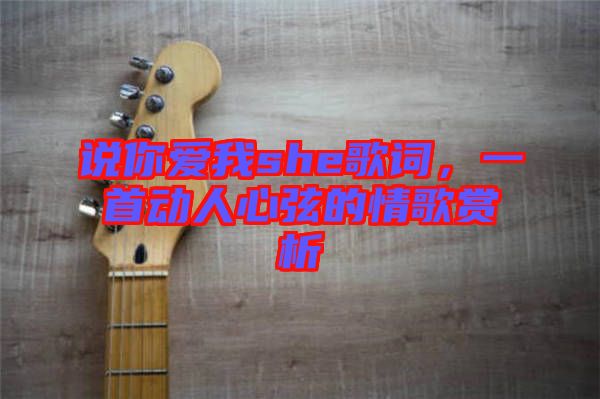說(shuō)你愛(ài)我she歌詞，一首動(dòng)人心弦的情歌賞析