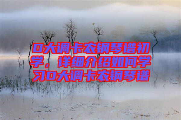 D大調(diào)卡農(nóng)鋼琴譜初學(xué)，詳細(xì)介紹如何學(xué)習(xí)D大調(diào)卡農(nóng)鋼琴譜