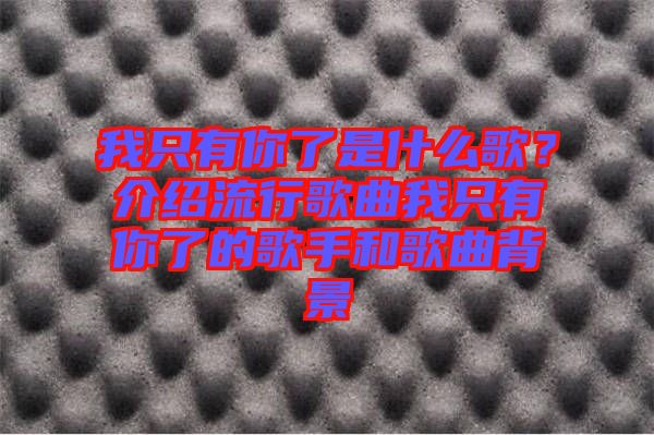 我只有你了是什么歌？介紹流行歌曲我只有你了的歌手和歌曲背景