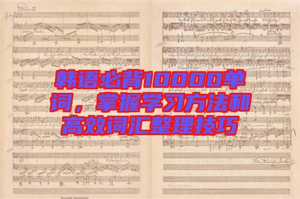 韓語必背10000單詞，掌握學(xué)習(xí)方法和高效詞匯整理技巧