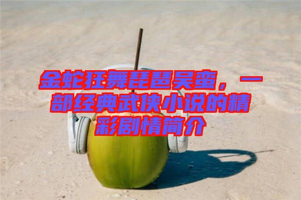 金蛇狂舞琵琶吳蠻，一部經(jīng)典武俠小說的精彩劇情簡介