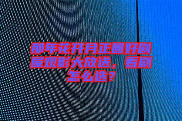 那年花開月正圓好劇屋觀影大放送，看劇怎么選？
