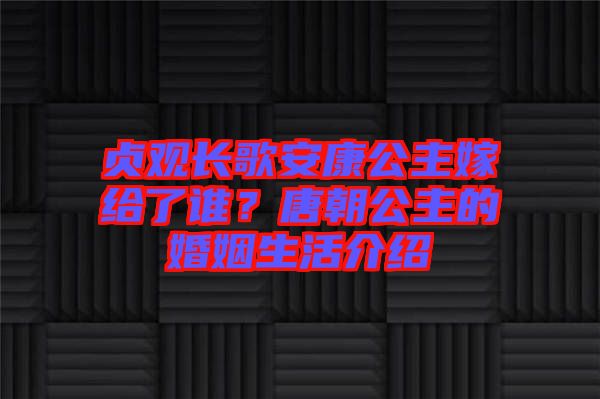 貞觀長歌安康公主嫁給了誰？唐朝公主的婚姻生活介紹