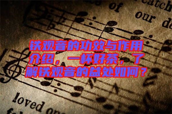 鐵觀音的功效與作用介紹，一杯好茶，了解鐵觀音的益處如何？