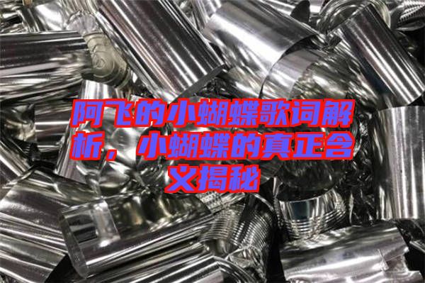 阿飛的小蝴蝶歌詞解析，小蝴蝶的真正含義揭秘