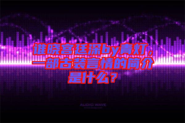 誰曉宮廷深by青燈，一部古裝言情的簡介是什么？