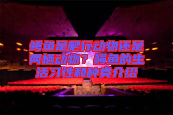 鱷魚是爬行動(dòng)物還是兩棲動(dòng)物？鱷魚的生活習(xí)性和種類介紹