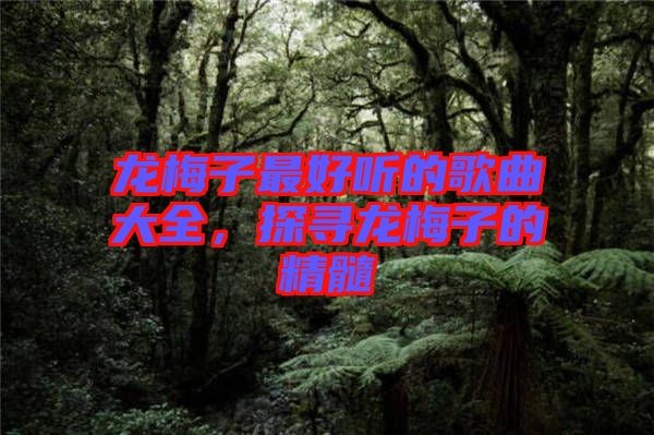 龍梅子最好聽的歌曲大全，探尋龍梅子的精髓